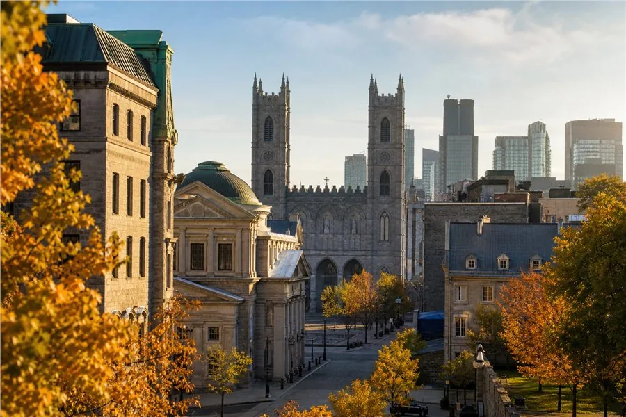 Le Vieux-Montréal en automne et les tours de la basilique Notre-Dame.